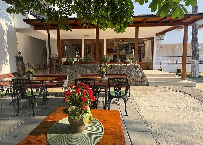 Hotel Camelia