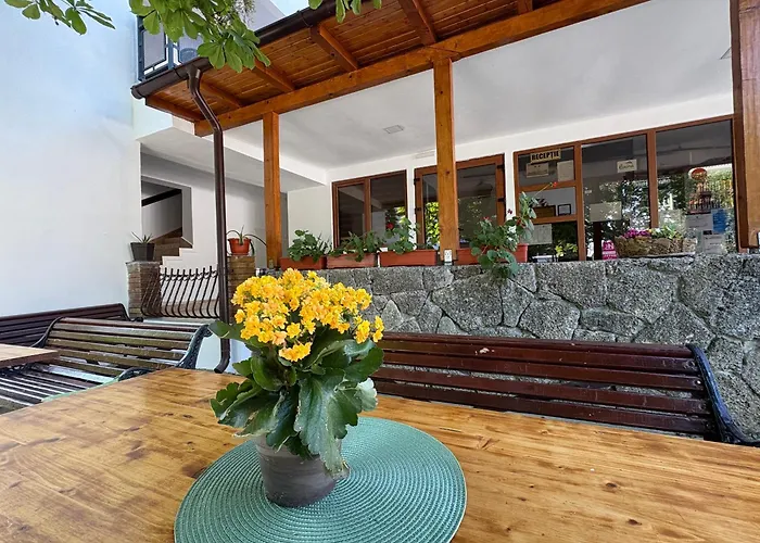 Hotel Camelia